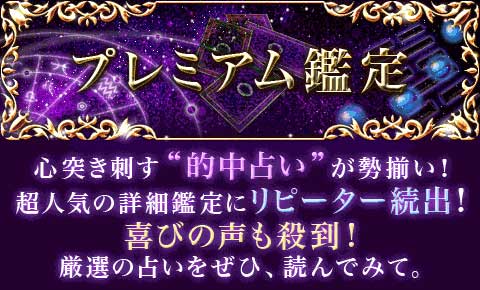 プレミアム鑑定